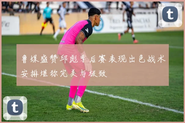 鲁媒盛赞邱彪季后赛表现出色战术安排堪称完美与极致