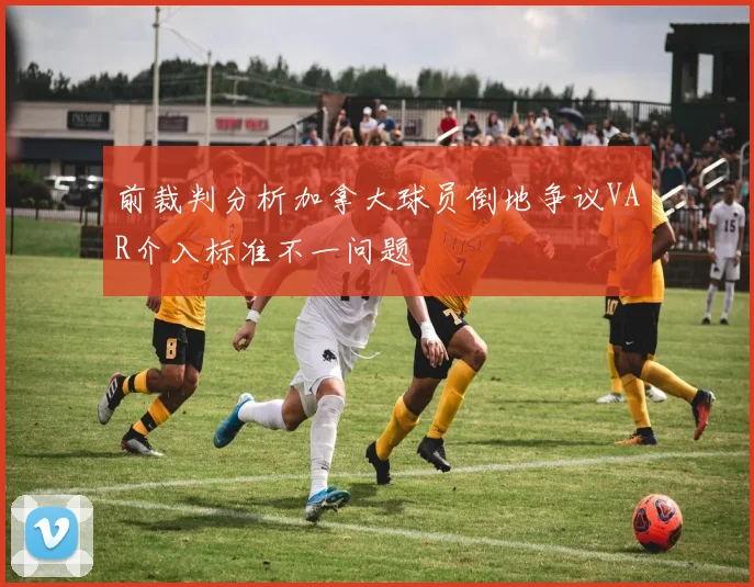 前裁判分析加拿大球员倒地争议VAR介入标准不一问题